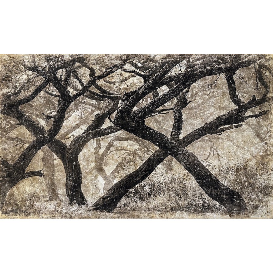 FORET TANZANIE (200x120cm)